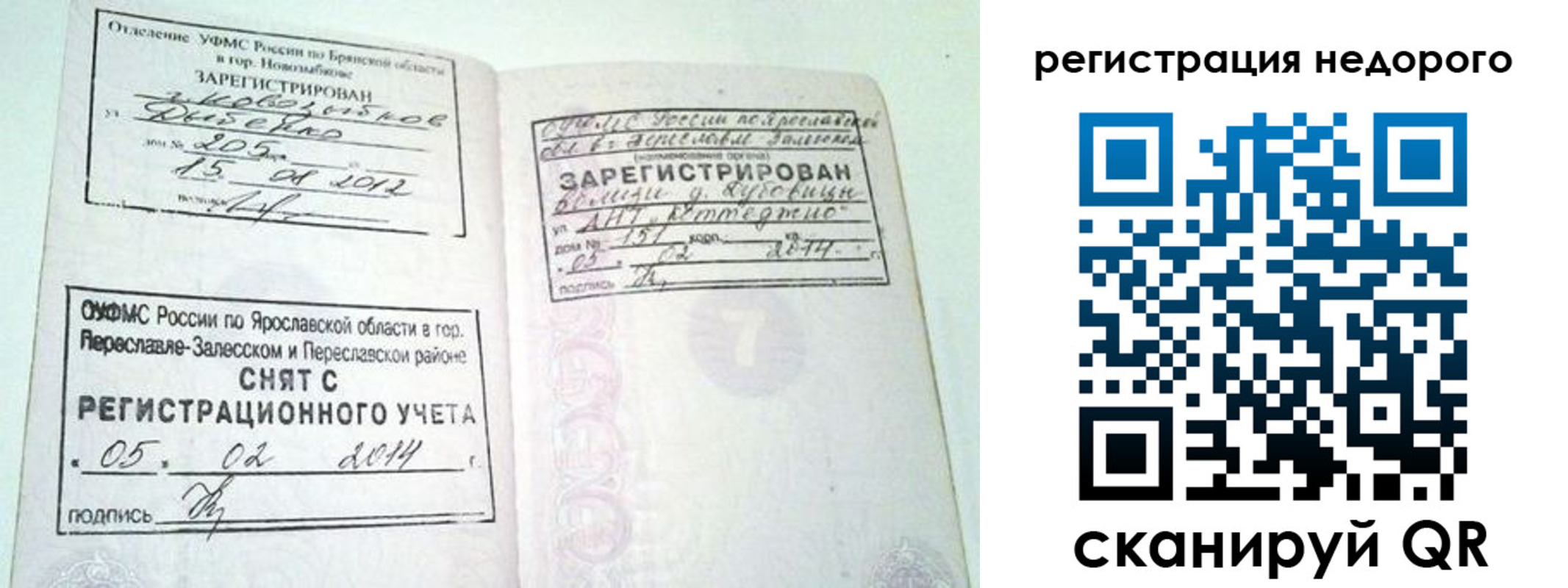 прописка поиск в Палласовке